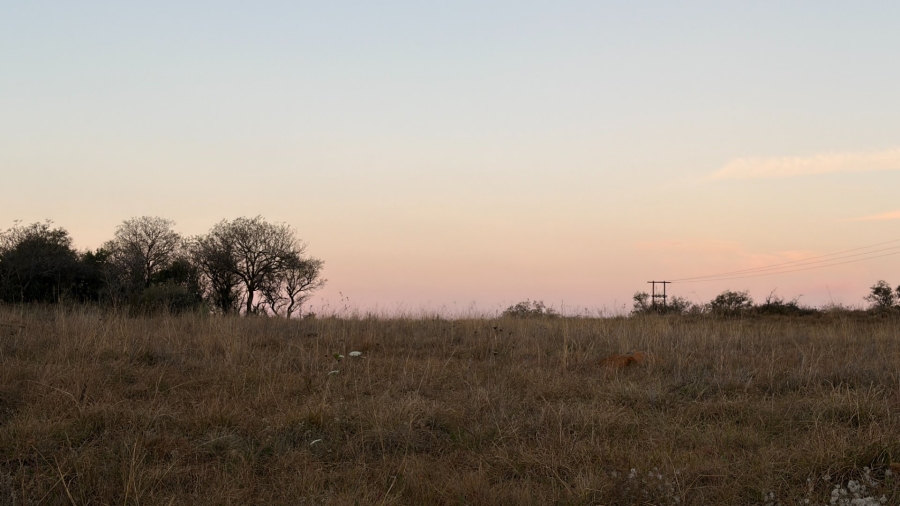 Commercial Property for Sale in Lekwena Wildlife Estate North West